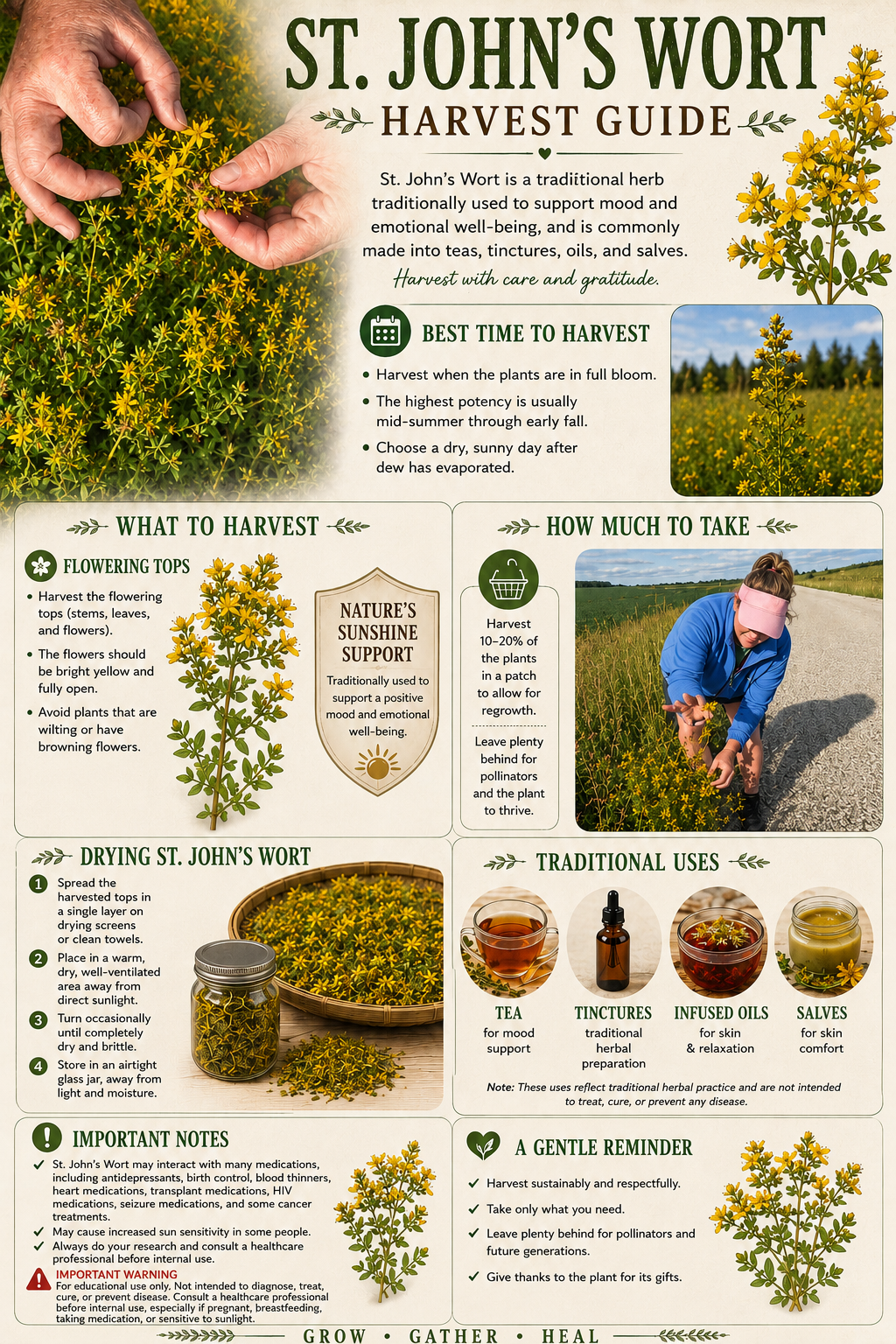 St. John’s Wort Balm